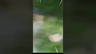 Download Lagu ketika di tagih utang MP3