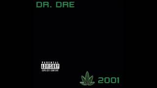 Download Lagu The Next Episode - Dr. Dre (Lirik Terjemahan) MP3