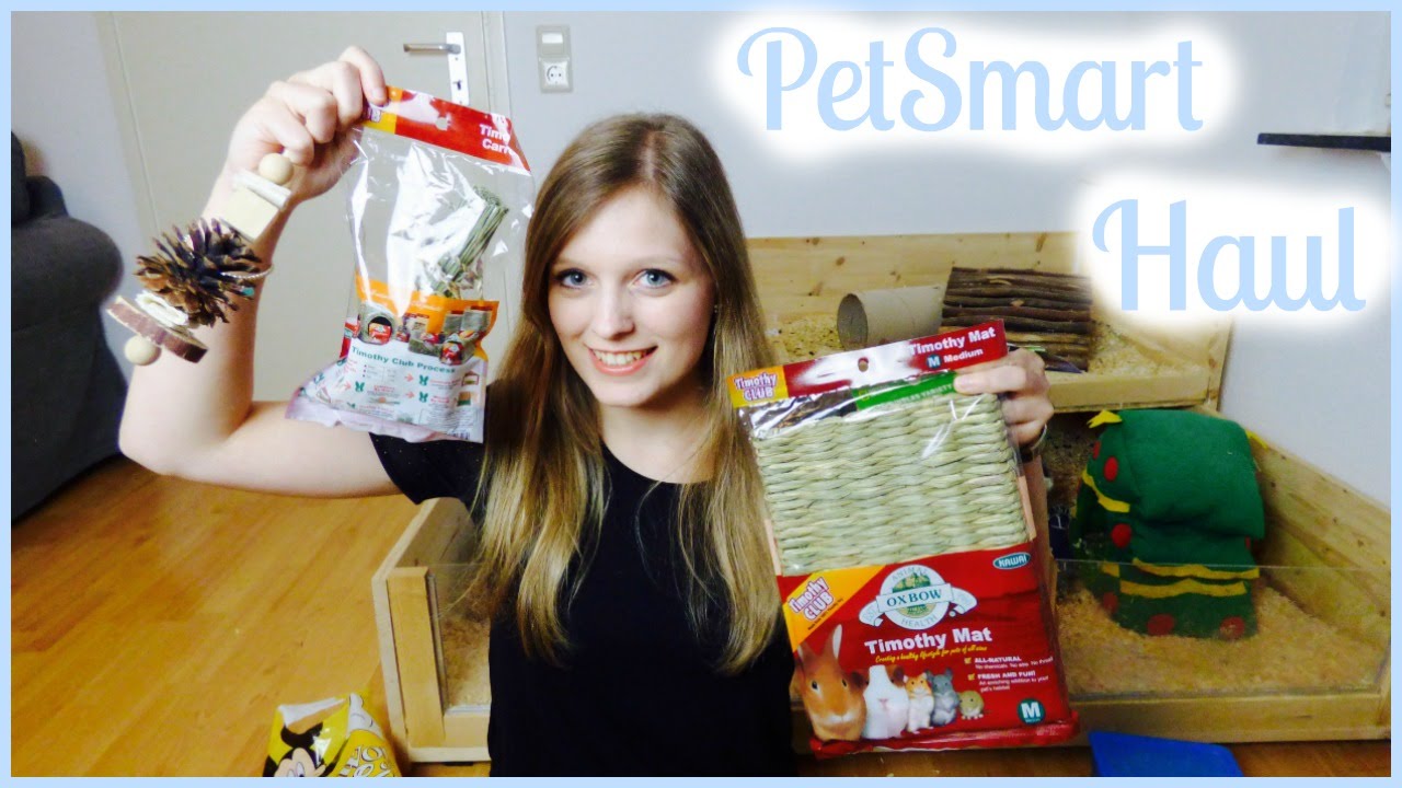 popcorning prank PetSmart Guinea Pig Haul