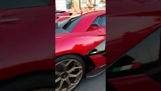 Tour In Puerto Banus Marbella, Spain Anne Orog