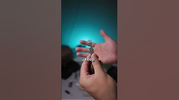 The Pry Tool You Know and Love. #edc #everydaycarry #edccommunity #pocketdump #knifecommunity