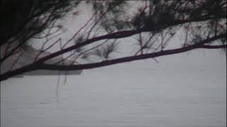 Live Bermuda Web Cam