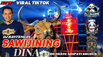 DJ BANTENGAN ( SAWIJINING DINA ) VIRAL TIKTOK KEBO NDANU ADIPATI SRUDUK by remix  dj amira project