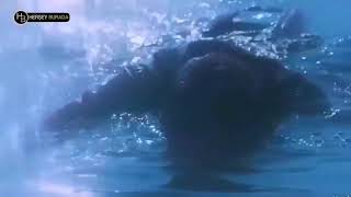 Barbaros Filmi Ilk Fragman