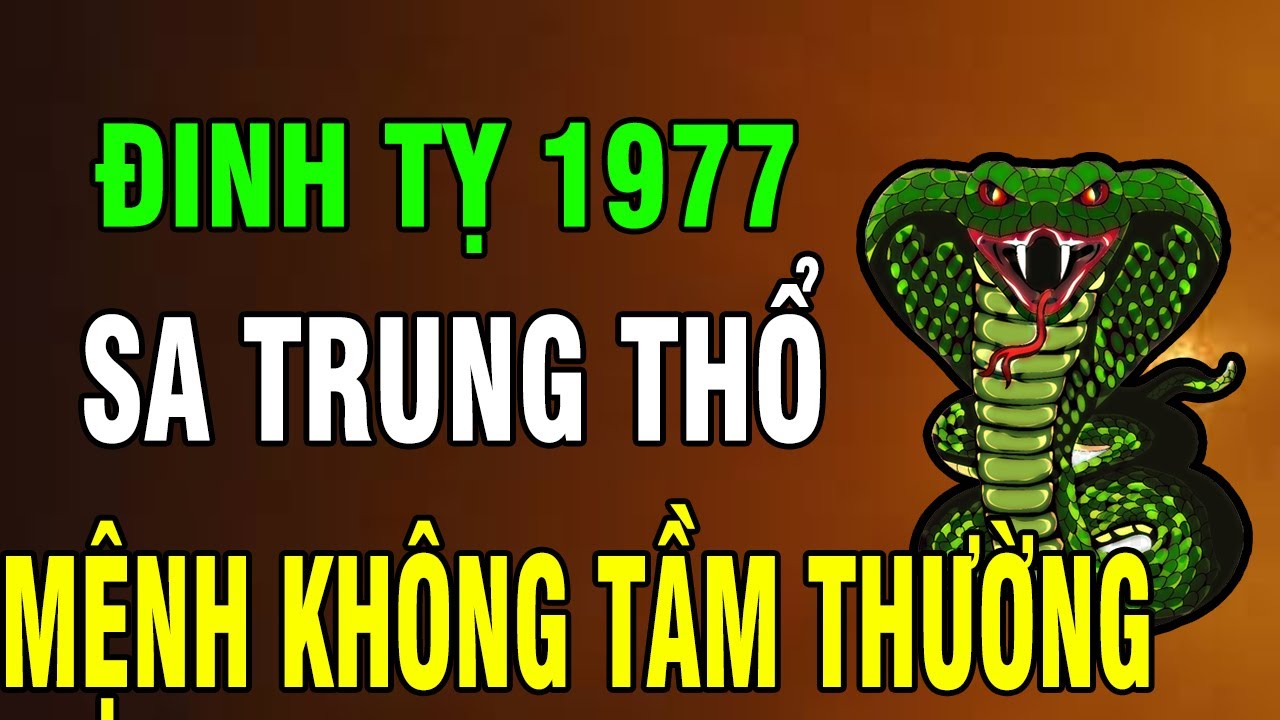 9 Bí Ẩn Tuổi Đinh Tỵ 1977: Gieo Nhân Thiện Cả Đời – Hậu Vận Được Trời Đãi, Bỏ Qua Là Mất Phúc!