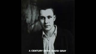 David Gray - Gathering Dust
