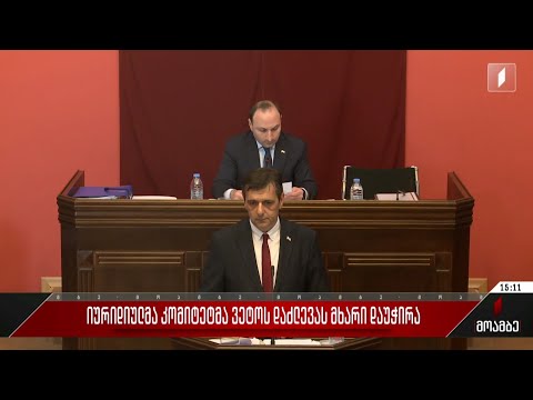იურიდიულმა კომიტეტმა ვეტოს დაძლევას მხარი დაუჭირა