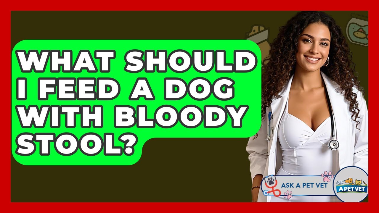 Gallery Detail: What Should I Feed A Dog With Bloody Stool Ask