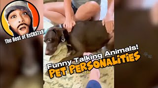 Best of RxCKSTxR Funny Talking Animal Voiceovers Compilation #2