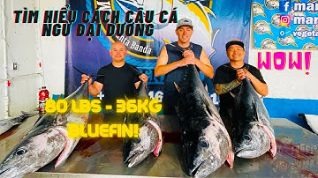 Passport to Thành Công | Tìm hiểu cách câu cá Ngừ Đại Dương