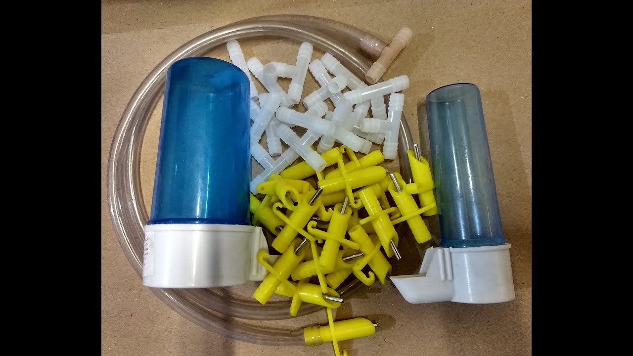 BEBEDOURO AUTOMÁTICO OU BEBEDOURO COMUM - PARTE 02