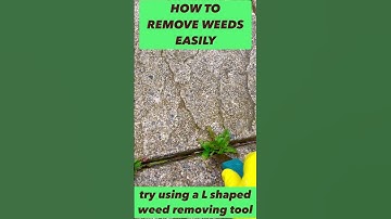 #shorts  How to remove weeds easily
