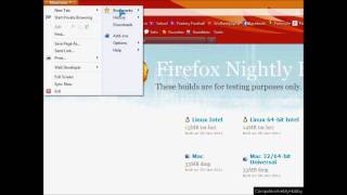 Firefox 4.0 Beta 11 (1/30/2011)