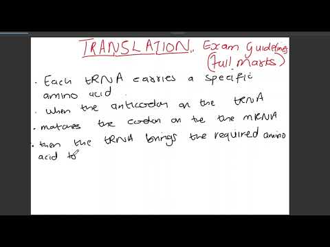 Translation Pogil Answer Key:  Beyond Expectations!