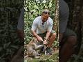 #wildlife #junglehunter #rescueanimals #bunkerchallenge #wildliferescue #trendingshorts #fypシ゚viral