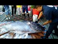 How to cut giant BLUEFIN TUNA by skillfully master at Taiwan Harbor