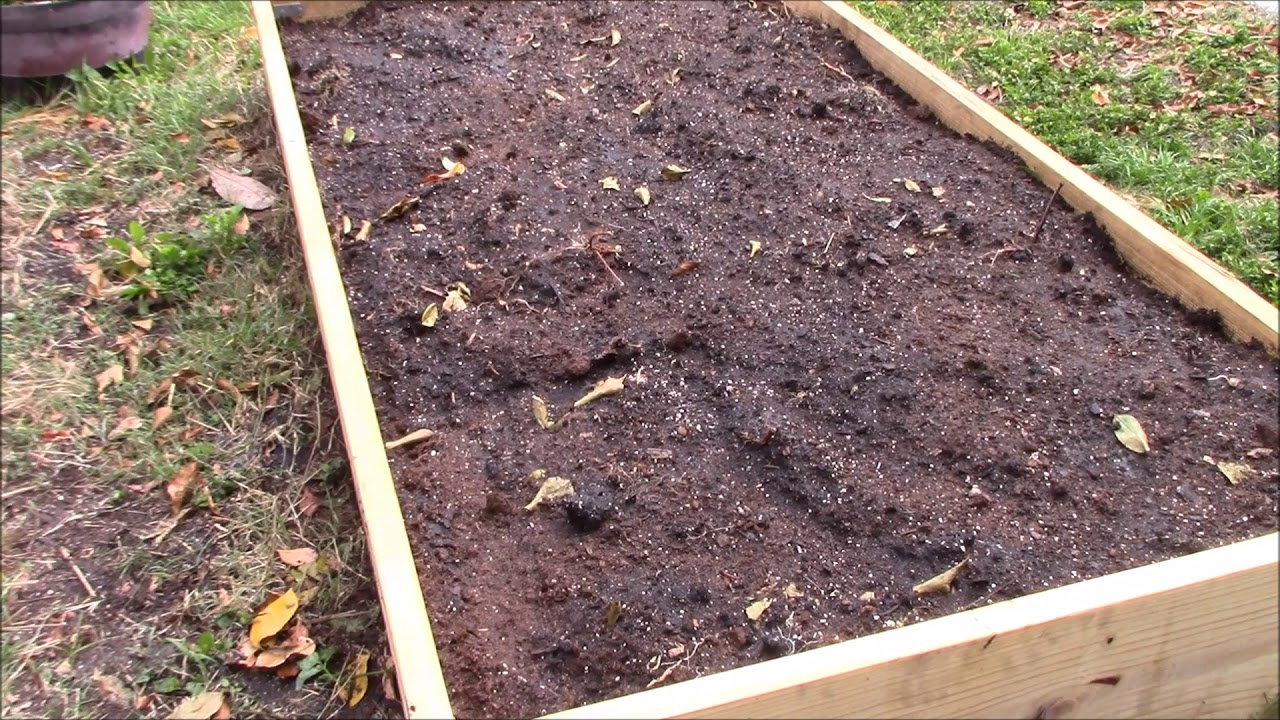 Zone 9 Gardening Filling The Raised bed And Planting Flowers 