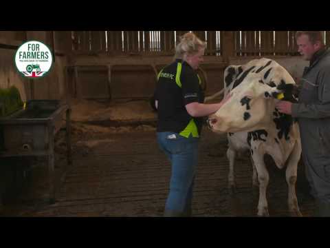 Meet Andrew & Angie - Dairy farmers from Gatelands Farm #ForFarmers