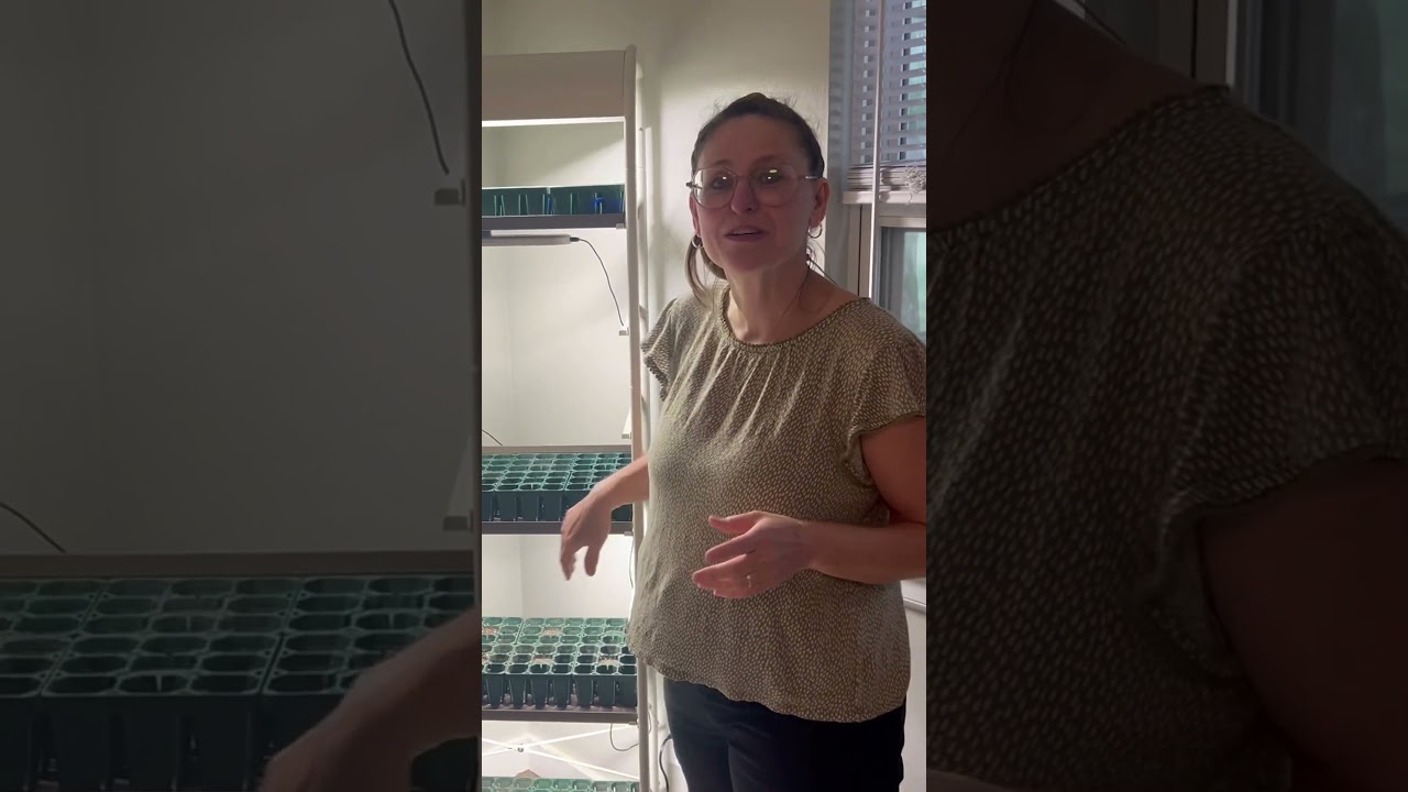 Vego Grow light shelf