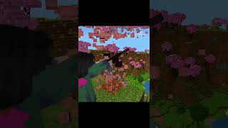 modpack link is on comments #essentials #minecraft #fypシ #shorts #minecraftshorts