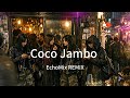 Mr President -  Coco Jambo（EchoMix REMIX）