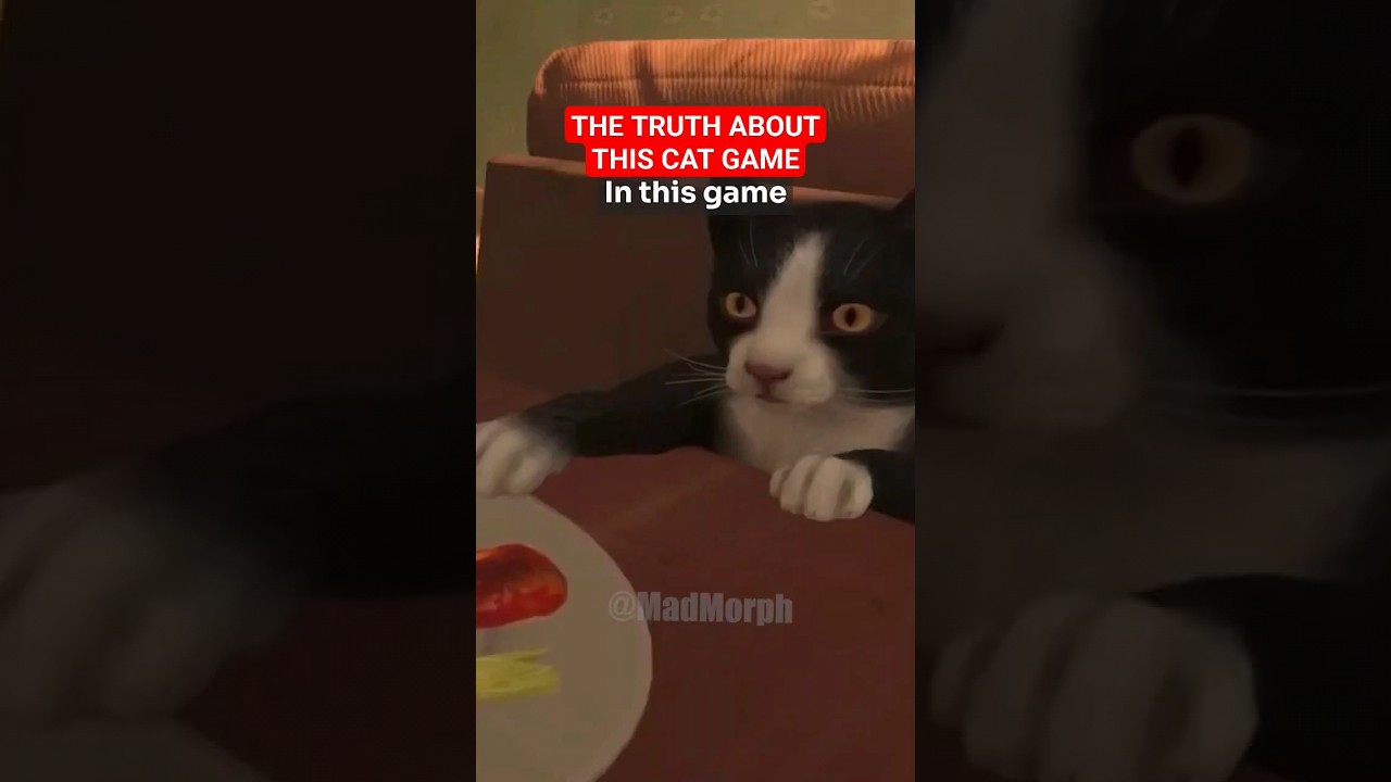 The SHOCKING truth about this CAT GAME