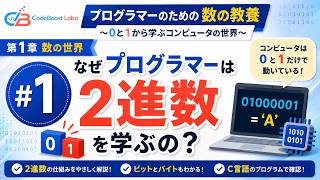 プログラマーのためのプログラミング入門 コンピュータ・プログラミング・シリーズ なぜプログラマーは2進数を学ぶの？｜プログラマーのための数の教養