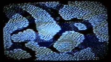 Gruesome Twosome - Hallucination Generation [My Analog Video Feedback 1994]