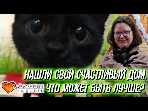 Нашли свой счастливый дом, что может быть лучше? | Феня