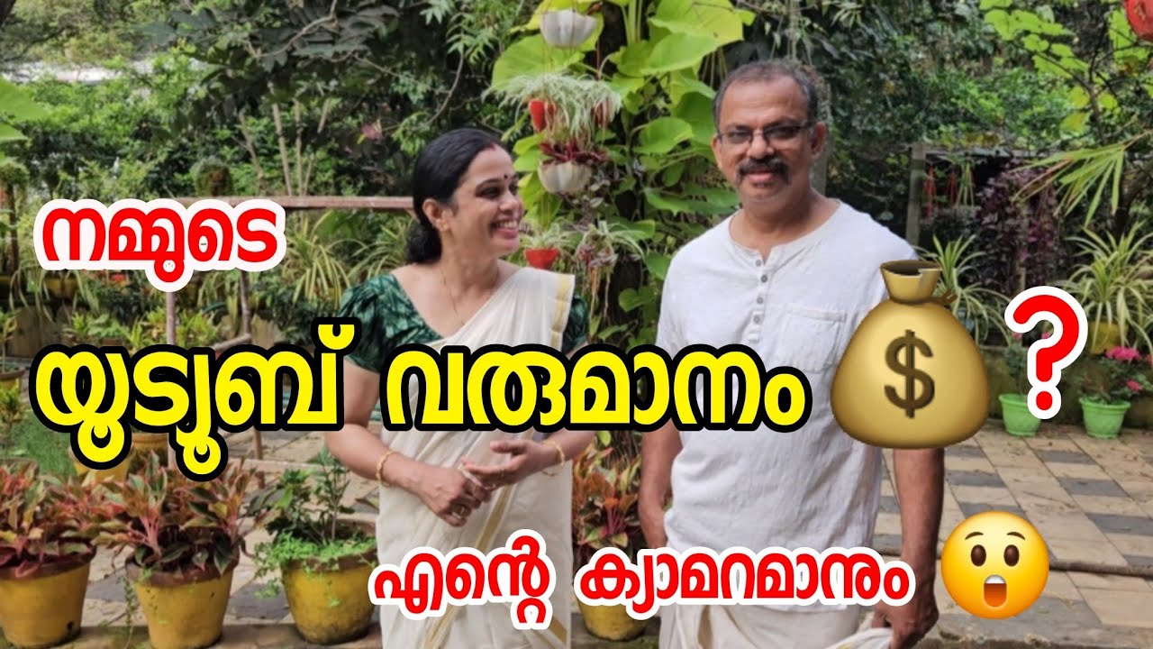 നമ്മുടെ യൂട്യൂബ് വരുമാനം 💰? | Harvest | Easy snacks |Krishi | Cleaning