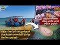 200      eruwadi boating   rameshwaram  pitchaimoopanvalasai