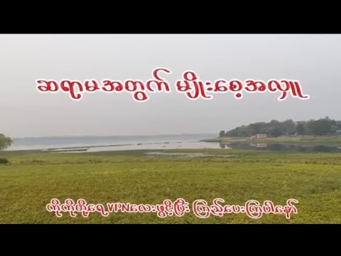 စိုက်ပျိုးရေးအတွက် မျိုးစေ့များ