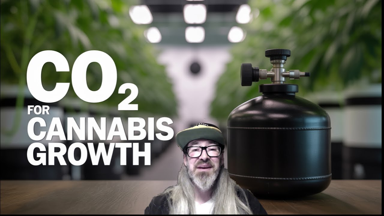 The Truth About CO2 In Your Grow Room : Everything You Need To Know w/ Chad Westport