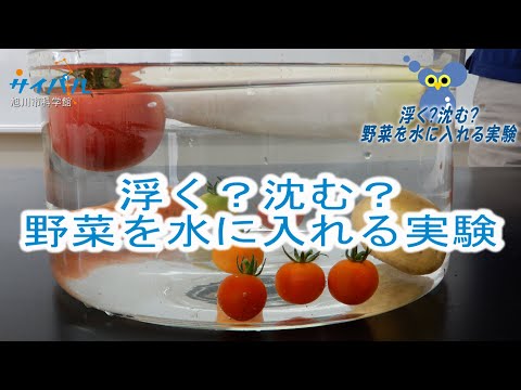 浮く？沈む？野菜を水に入れる実験