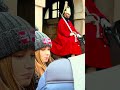 GORGEOUS#tourist #kingsguard #horseguards #london #youtubeshorts #fyp #troops #trending #horseguards