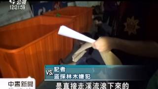 中部珍貴林木遭盜採 警逮盜採集團 20141124 公視中晝