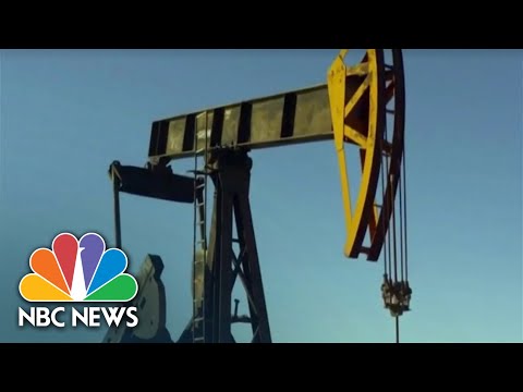 House committee claims oil companies could 'doom' climate