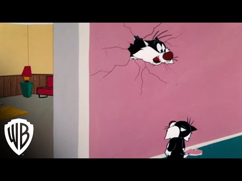Looney Tunes Super Stars: Sylvester & Hippety Hopper - "Too Hop To Handle" - Wall