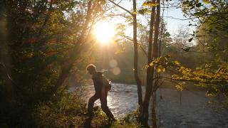 Morning Light Along the River