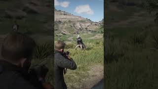 red dead redemption2 #shorts #rdr2 #gaming #redemptiongamingadventures