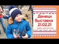 2 серия- Выставка Голубей,певчих и экзотичкских птиц. Донецк 21.02.21г.