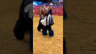 Amazing Miniature Performance Horse Auction #fyp #mini #smallhorse #miniaturehorses #horseauction