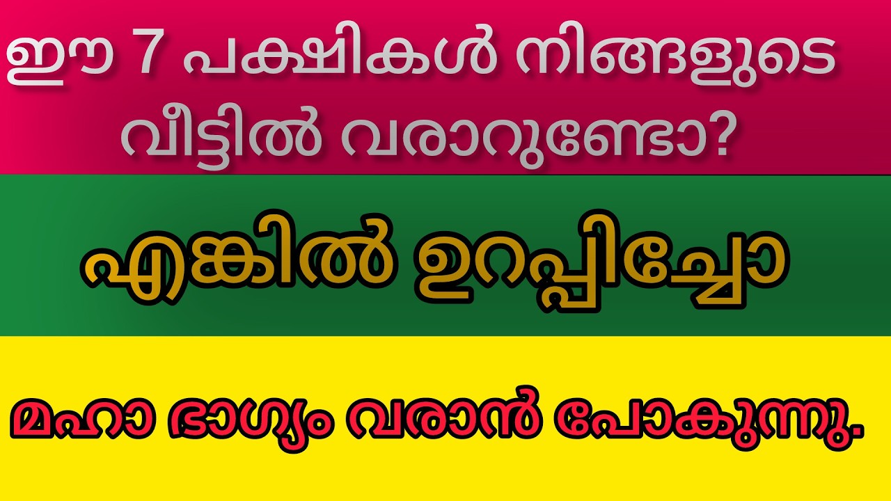 ഈ പക്ഷികൾ നിങ്ങളുടെ വീട്ടിൽ വരാറുണ്ടോ? എങ്കിൽ ഉറപ്പിച്ചോ മഹാ ഭാഗ്യം വരാൻ പോകുന്നു.