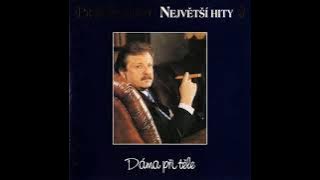 Petr Spálený & Dan Bárta - Já ho jen od vidění znám (2000)