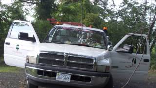 Skyline Tree Service L L C