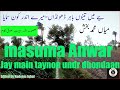 Masuma Anwar Song.جے میں تینوں باہر دھونداں ،Je Mein Tenu Bahir Dhoonda