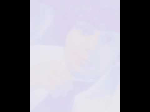 انت من وين اطلعت 