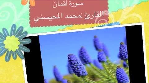 تلاوة مختارة ( من سورة لقمان ) القارئ / محمد المحيسني