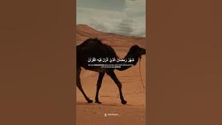 Download lagu Abdurrahman Mossad | Al-Baqarah 185