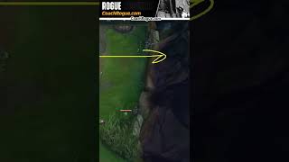 How to communicate to a duo partner (botlane)